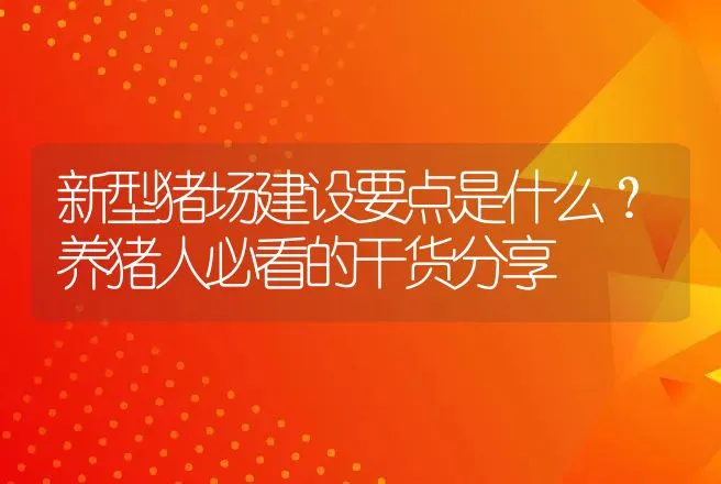 新型猪场建设要点是什么？养猪人必看的干货分享 | 兽医知识大全