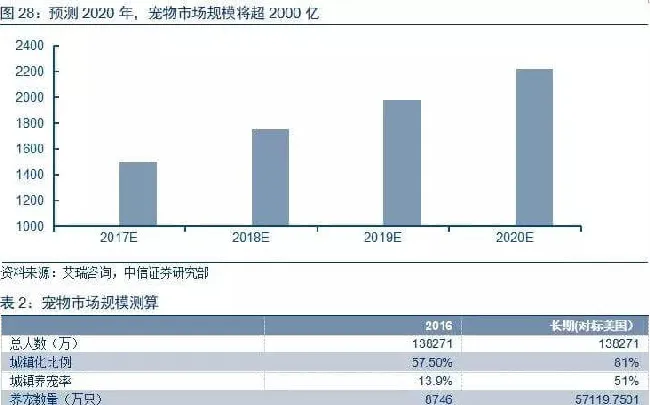 宠物经济崛起的背后，是孤独加了一把柴吗？ | 宠物行业洞察