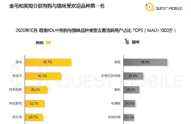 QuestMobile：国内萌宠群体规模已经超过5.3亿 | 宠物行业洞察