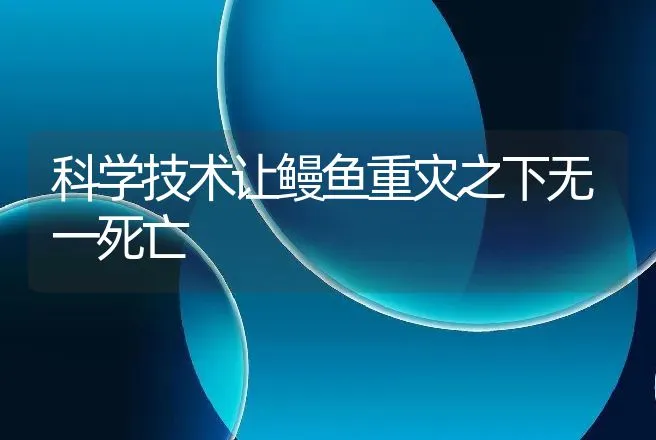 科学技术让鳗鱼重灾之下无一死亡 | 动物养殖