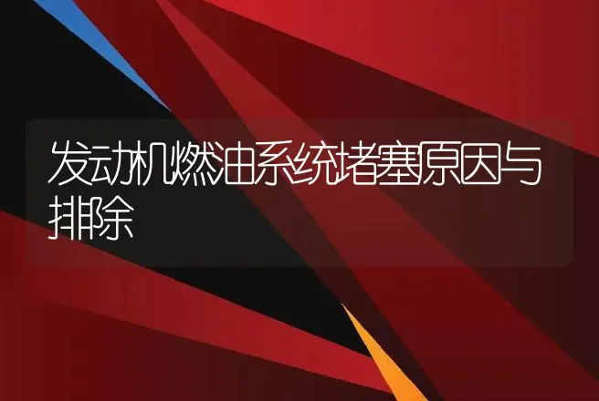 发动机燃油系统堵塞原因与排除 | 养殖