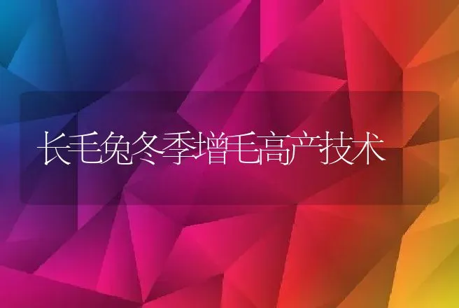 长毛兔冬季增毛高产技术 | 动物养殖