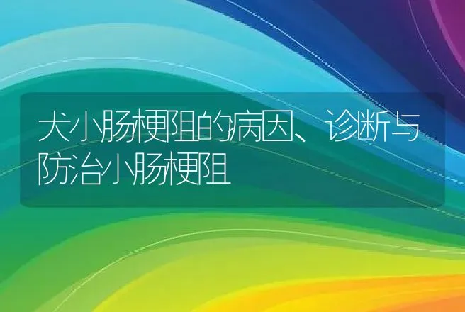 犬小肠梗阻的病因、诊断与防治小肠梗阻 | 动物养殖