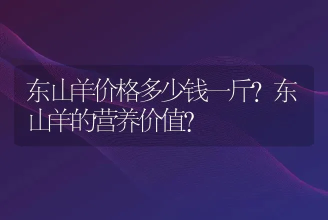 东山羊价格多少钱一斤？东山羊的营养价值? | 家畜养殖