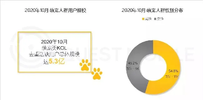 QuestMobile：国内萌宠群体规模已经超过5.3亿 | 宠物行业洞察