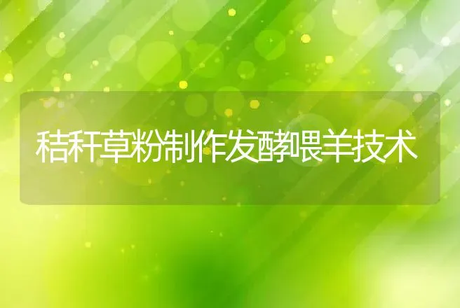 如何让散养柴鸡种蛋受精率保持在90%以上 | 动物养殖