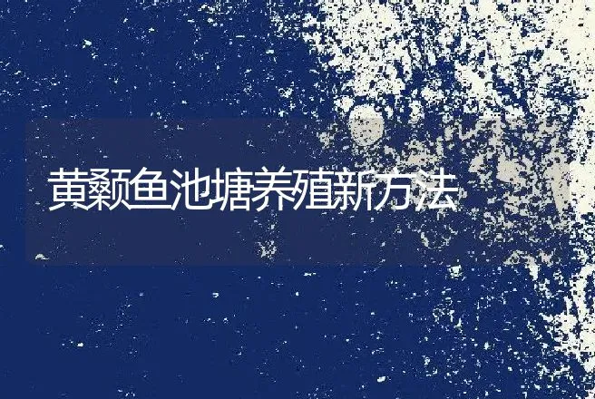 黄颡鱼池塘养殖新方法 | 动物养殖