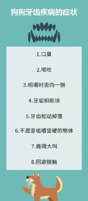 口腔疾病！80%以上的成犬都有这个问题 | 宠物狗病虫害防治