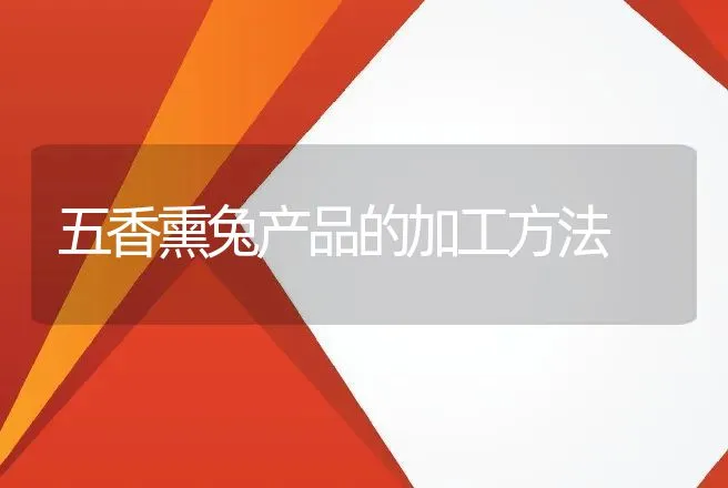 五香熏兔产品的加工方法 | 动物养殖