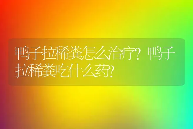 鸭子拉稀粪怎么治疗？鸭子拉稀粪吃什么药? | 兽医知识大全