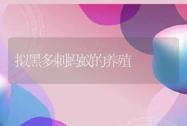 拟黑多刺蚂蚁的养殖 | 特种养殖