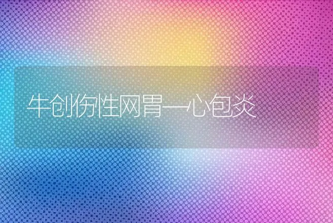 牛创伤性网胃―心包炎 | 动物养殖