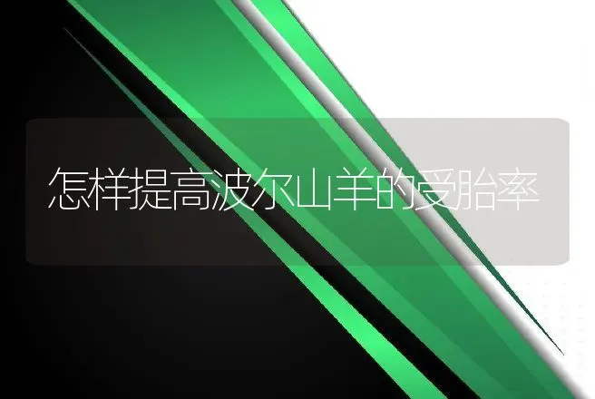 怎样提高波尔山羊的受胎率 | 动物养殖