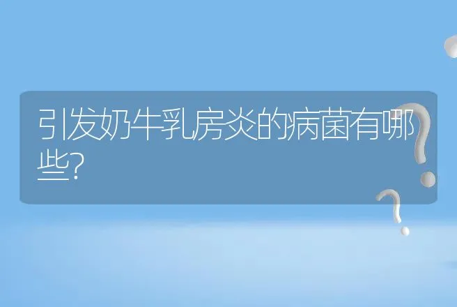 引发奶牛乳房炎的病菌有哪些？ | 家畜养殖