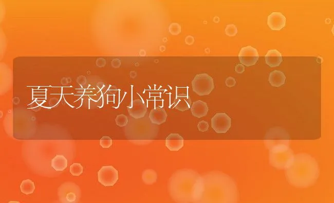 夏天养狗小常识 | 宠物病虫害