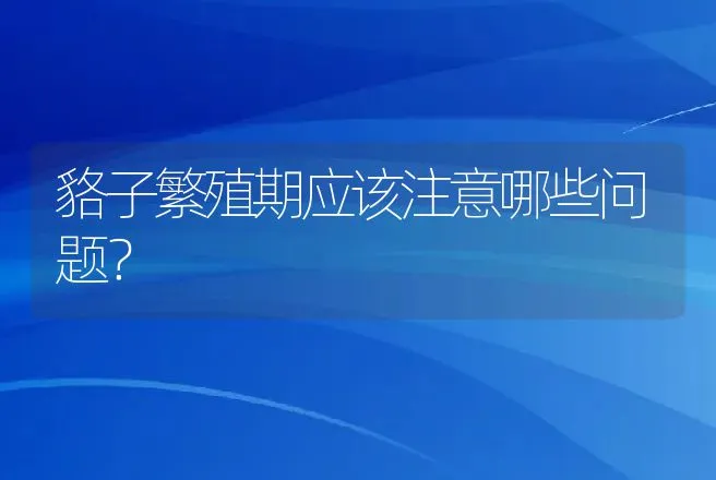 貉子繁殖期应该注意哪些问题？ | 特种养殖