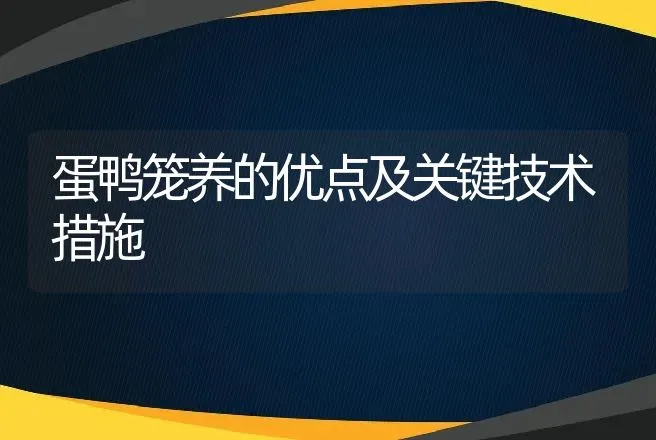 蛋鸭笼养的优点及关键技术措施 | 家禽养殖