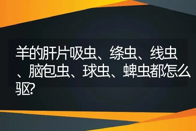 羊的肝片吸虫、绦虫、线虫、脑包虫、球虫、蜱虫都怎么驱? | 家畜养殖