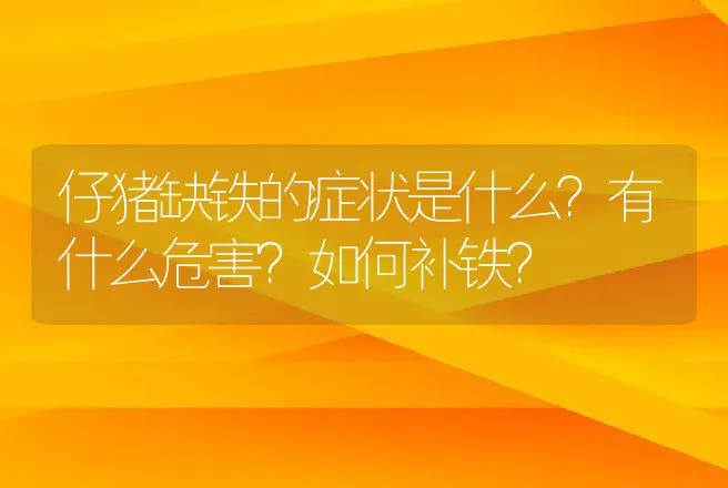 仔猪缺铁的症状是什么？有什么危害？如何补铁？ | 兽医知识大全