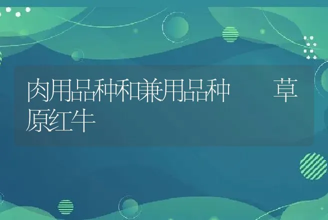 蛋鸭注意球虫病 | 动物养殖