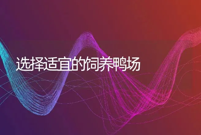 提高仔猪窝重及分娩前护理 | 动物养殖