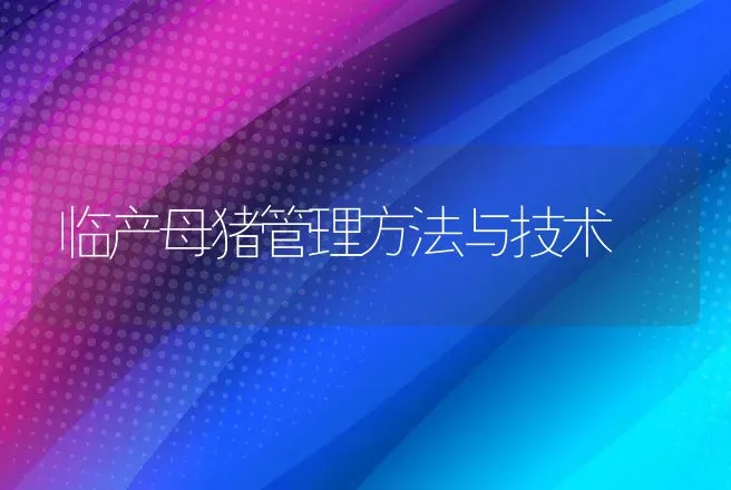 临产母猪管理方法与技术 | 动物养殖