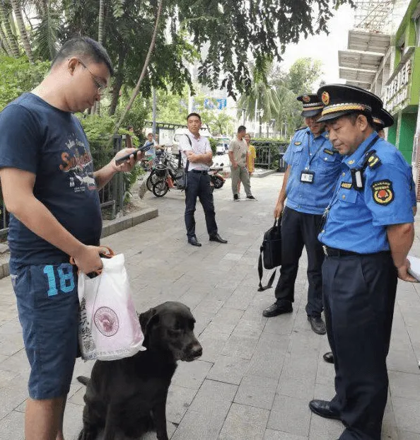 ＂ 睦犬一号 ＂ 行动在深圳全市开启,深圳宠物店售卖烈性犬将被罚 | 宠物政策法规