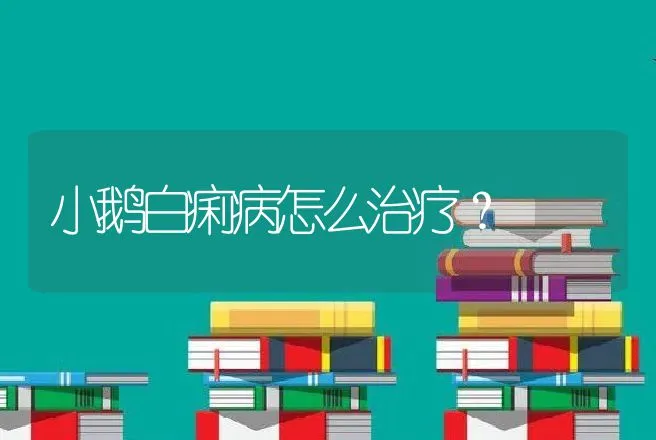 小鹅白痢病怎么治疗？ | 兽医知识大全