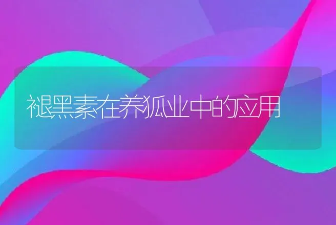 褪黑素在养狐业中的应用 | 动物养殖