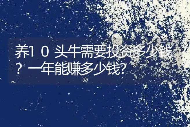 养10头牛需要投资多少钱？一年能赚多少钱？ | 家畜养殖