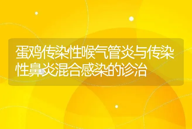 蛋鸡传染性喉气管炎与传染性鼻炎混合感染的诊治 | 动物养殖