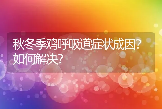 秋冬季鸡呼吸道症状成因？如何解决？ | 兽医知识大全