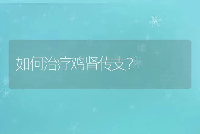 如何治疗鸡肾传支？ | 兽医知识大全