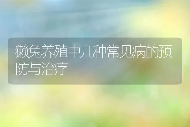 獭兔养殖中几种常见病的预防与治疗 | 动物养殖