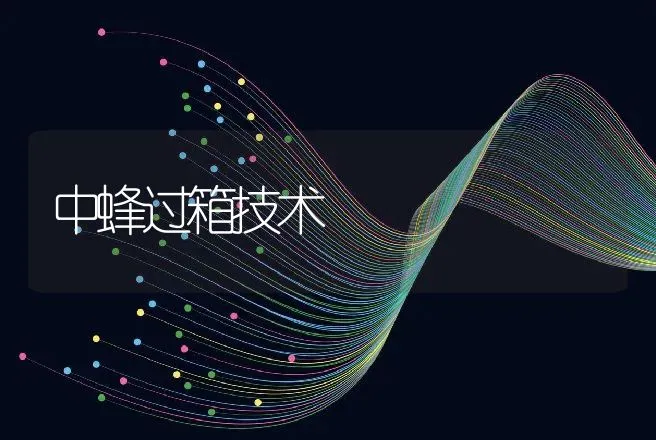 中蜂过箱技术 | 动物养殖