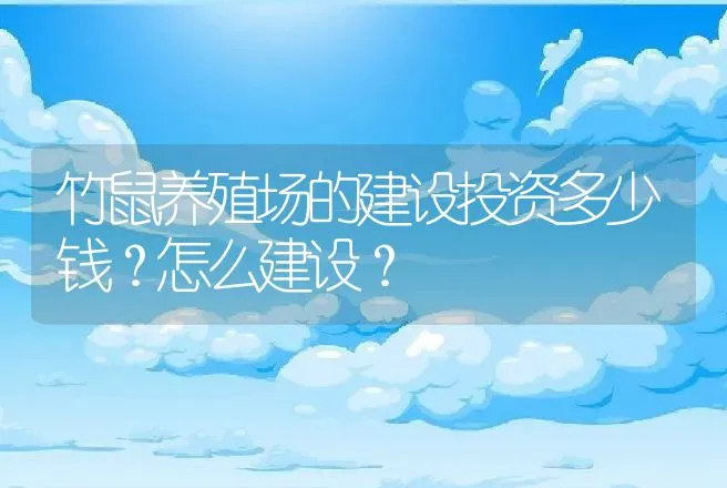 竹鼠养殖场的建设投资多少钱？怎么建设？ | 兽医知识大全