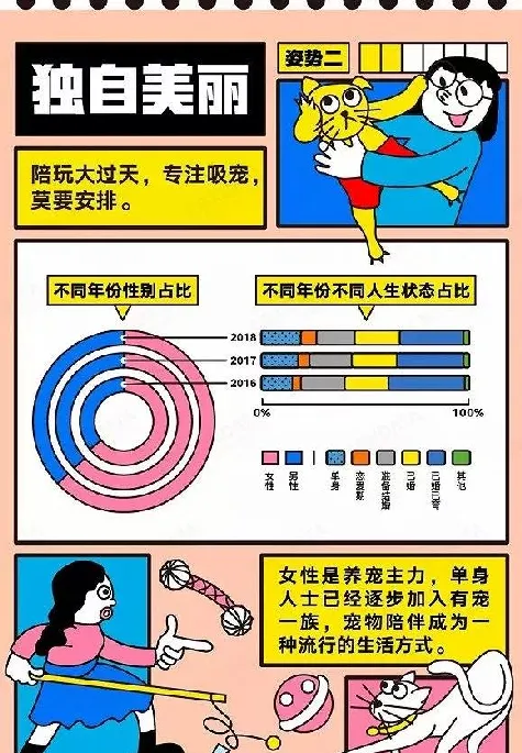 国货宠物粮食消费持续增长 或将成为宠物经济的下一个爆发点 | 宠物行业洞察