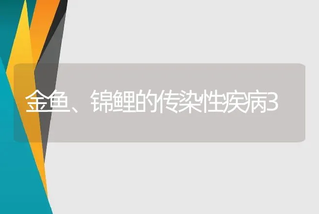 金鱼、锦鲤的传染性疾病3 | 动物养殖