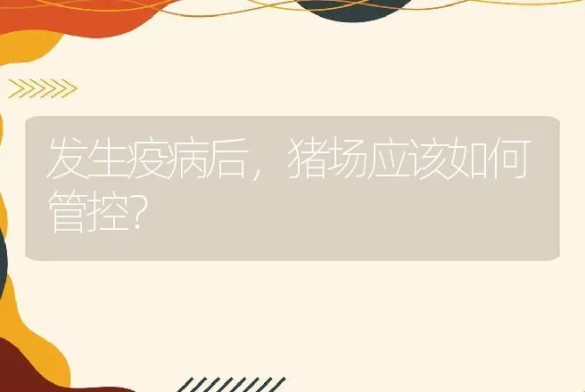 发生疫病后，猪场应该如何管控？ | 兽医知识大全