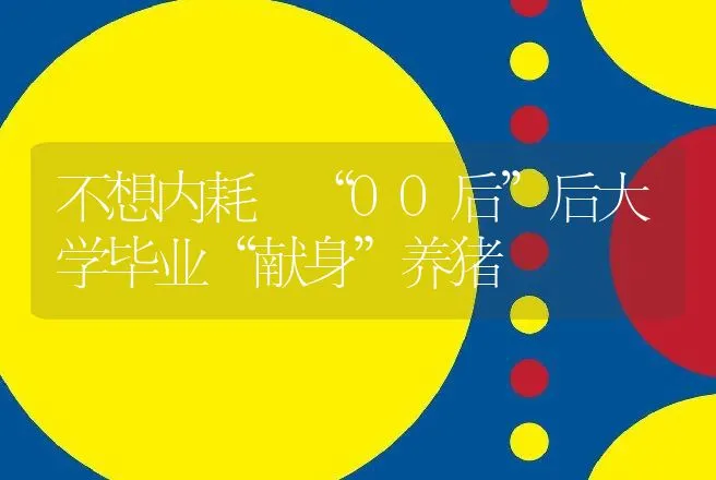 不想内耗 “00后”后大学毕业“献身”养猪 | 养殖致富