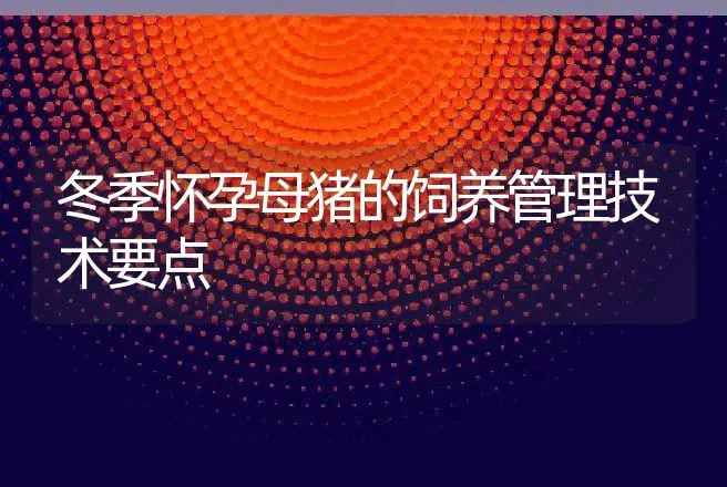 冬季怀孕母猪的饲养管理技术要点 | 动物养殖