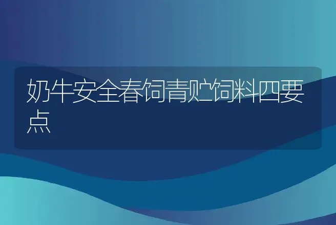 奶牛安全春饲青贮饲料四要点 | 动物养殖