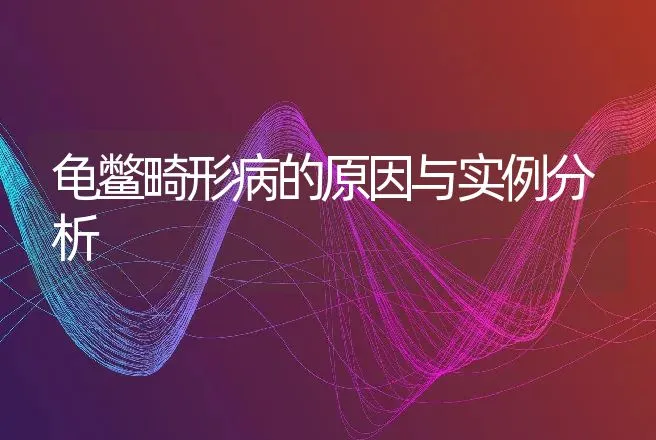 龟鳖畸形病的原因与实例分析 | 动物养殖