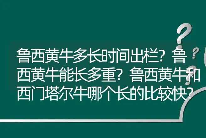 猪蓝耳病疫苗说明书:打猪蓝耳病疫苗多久? | 兽医知识大全