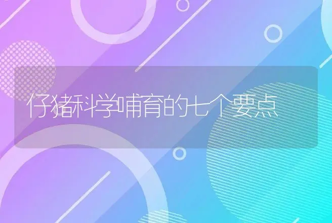 仔猪科学哺育的七个要点 | 动物养殖