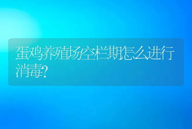 蛋鸡养殖场空栏期怎么进行消毒？ | 家禽养殖