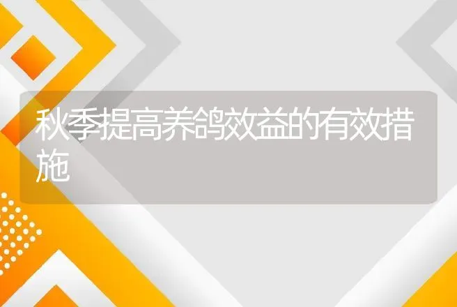 秋季提高养鸽效益的有效措施 | 家禽养殖