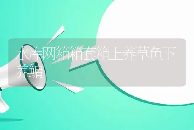 奶牛营养性饲料添加剂：维生素添加剂 | 动物养殖