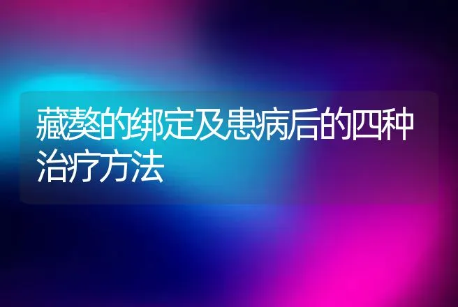 藏獒的绑定及患病后的四种治疗方法 | 动物养殖