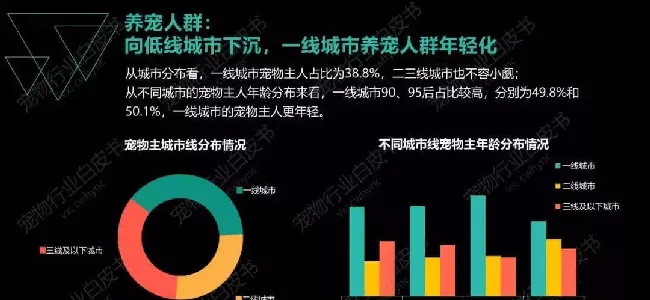 深宠展在新的一年来临前，打造国内首个专业展！ | 宠物新闻资讯